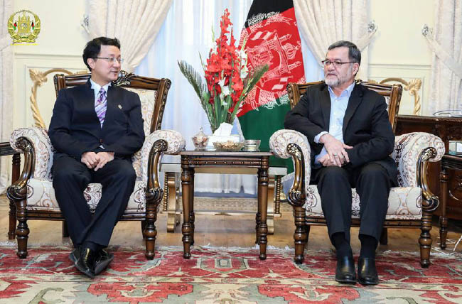 Afghanistan Determined  to take any Measures  to Counter Challenges Hampering Development of  Bilateral Relations Between Two Nations: Vice President